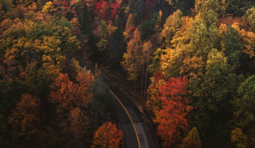 Best Autumn Travel Destinations