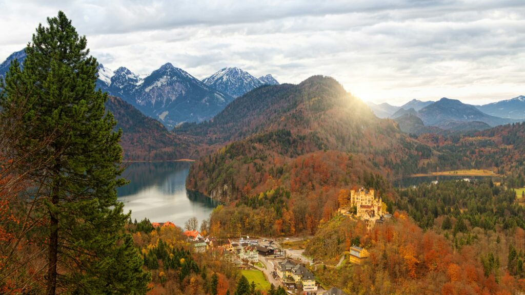 A view overlooking Neuschwanstein Castle as the trees turn orange and brown during the autumn season. The view is surrounded by the trees and the snow-peaked mountains in the background.