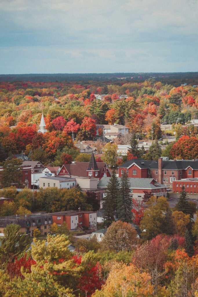 Overview of a quaint town with scattered autumn trees with shades of red, green, and brown, and red, brick buildings.
