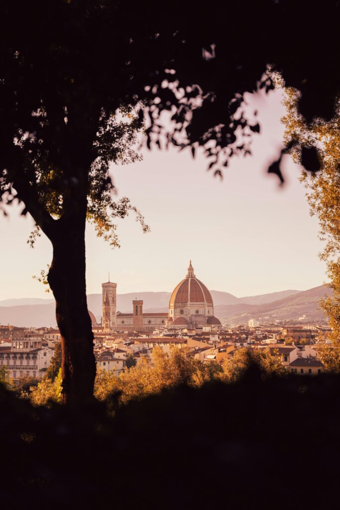 A view through a shadowy treetop overlooking a city and cathedral in Tuscany.