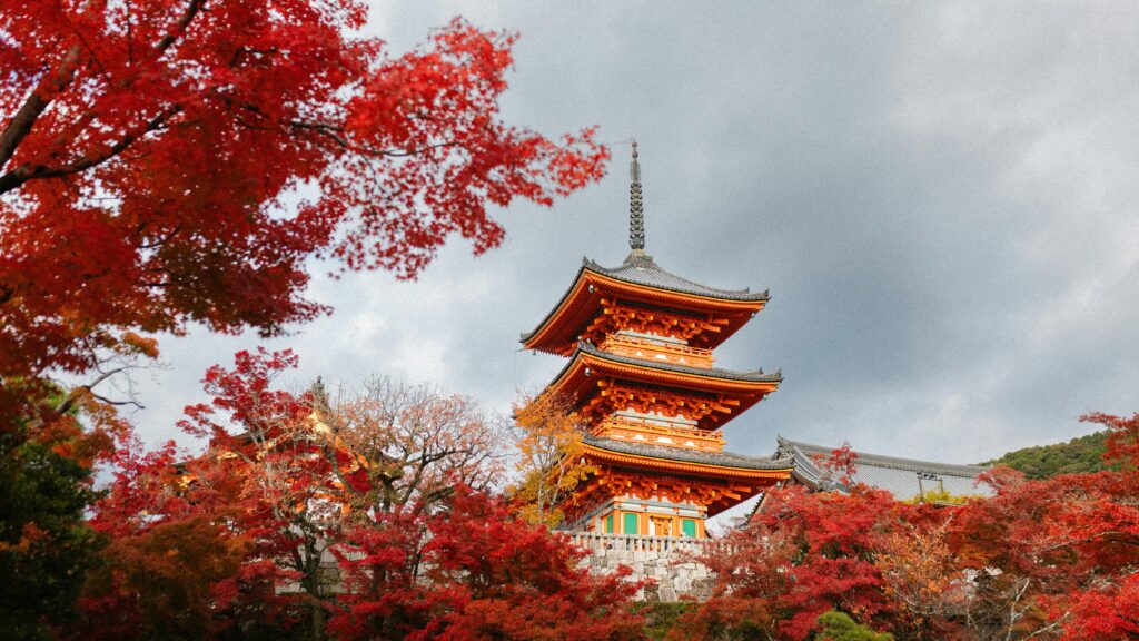 Bright red trees in autumn with a view of the Fushimi Inari-taisha Shrine.